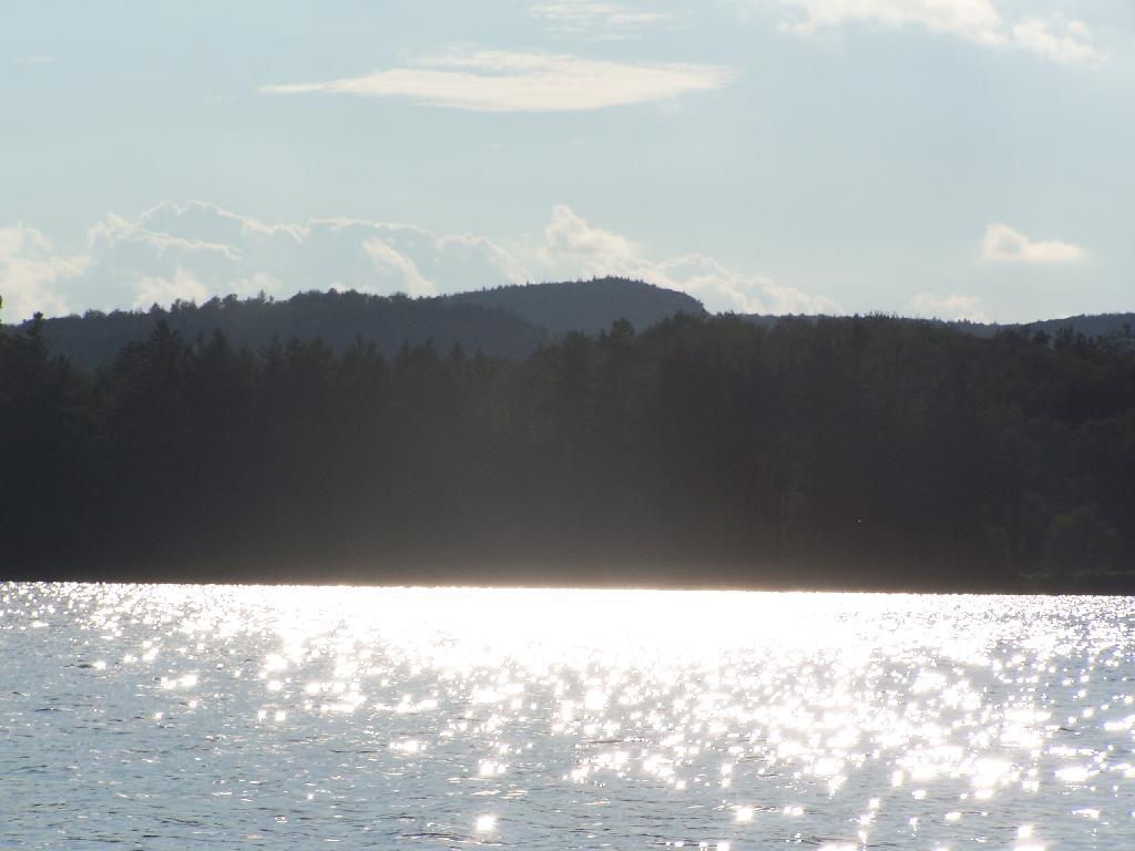 Photo: Glare