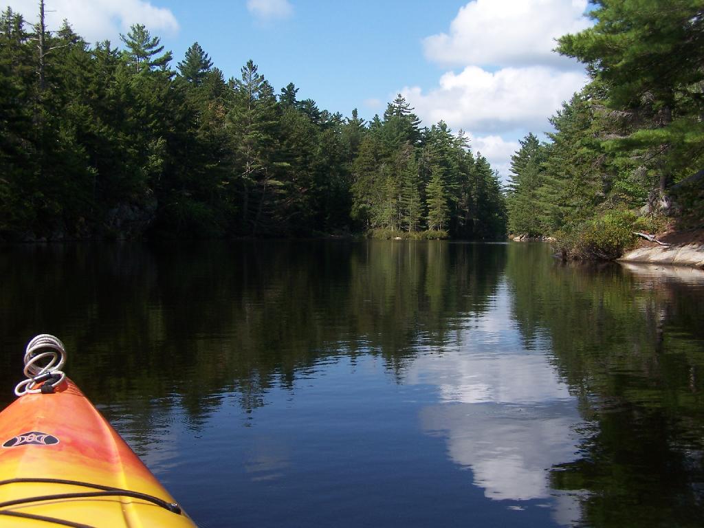 Photo: Above Lower Lows Dam