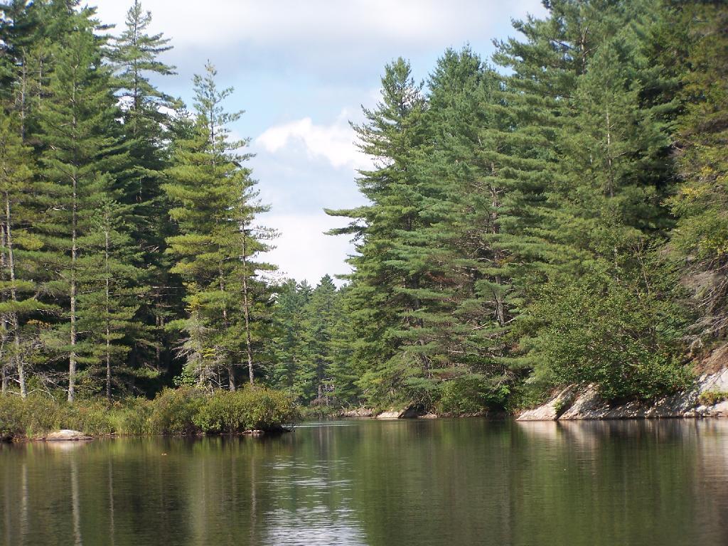 Photo: Bog River Flow Narrows