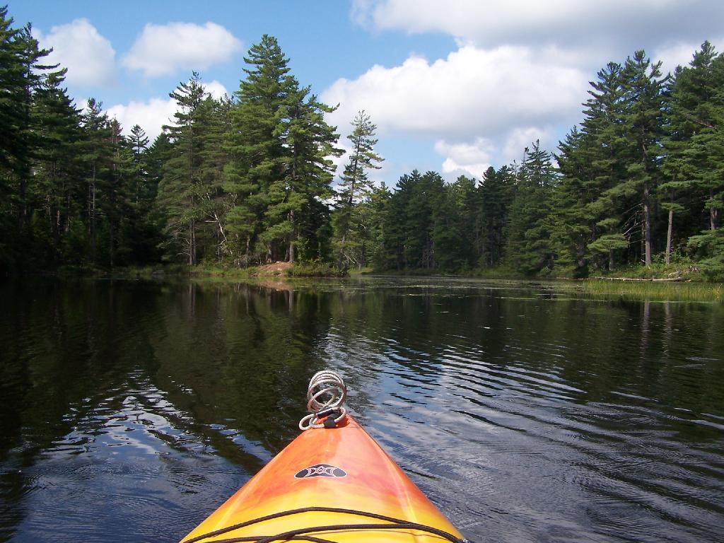 Photo: Bog River Open Up A Little Bit