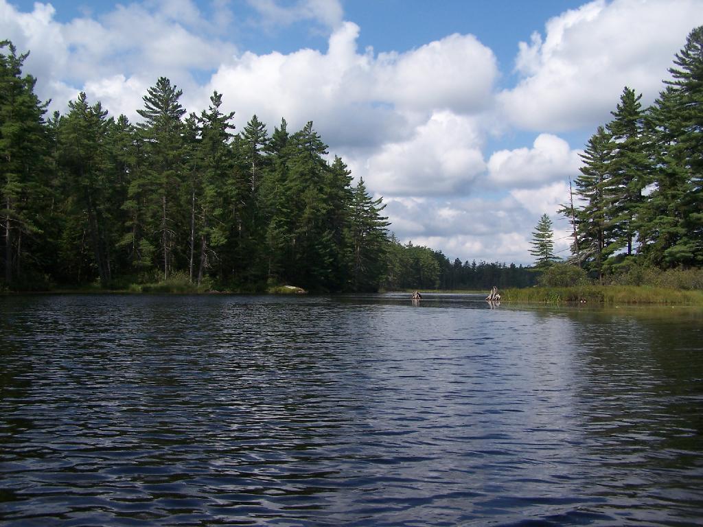 Photo: Entering Hitchens Pond