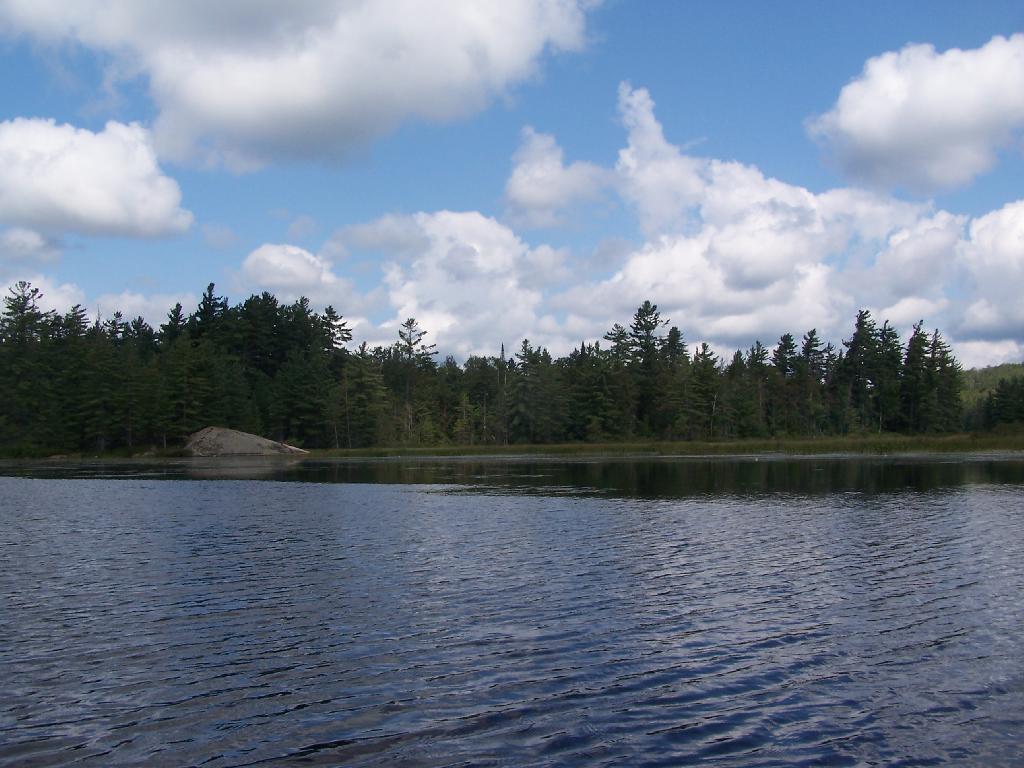 Photo: Hitchens Pond