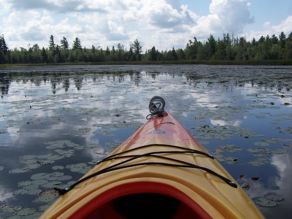 Photo: Marshy