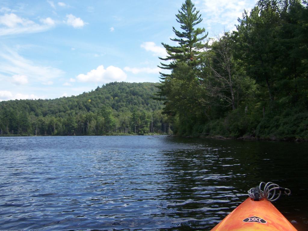 Photo: Paddling