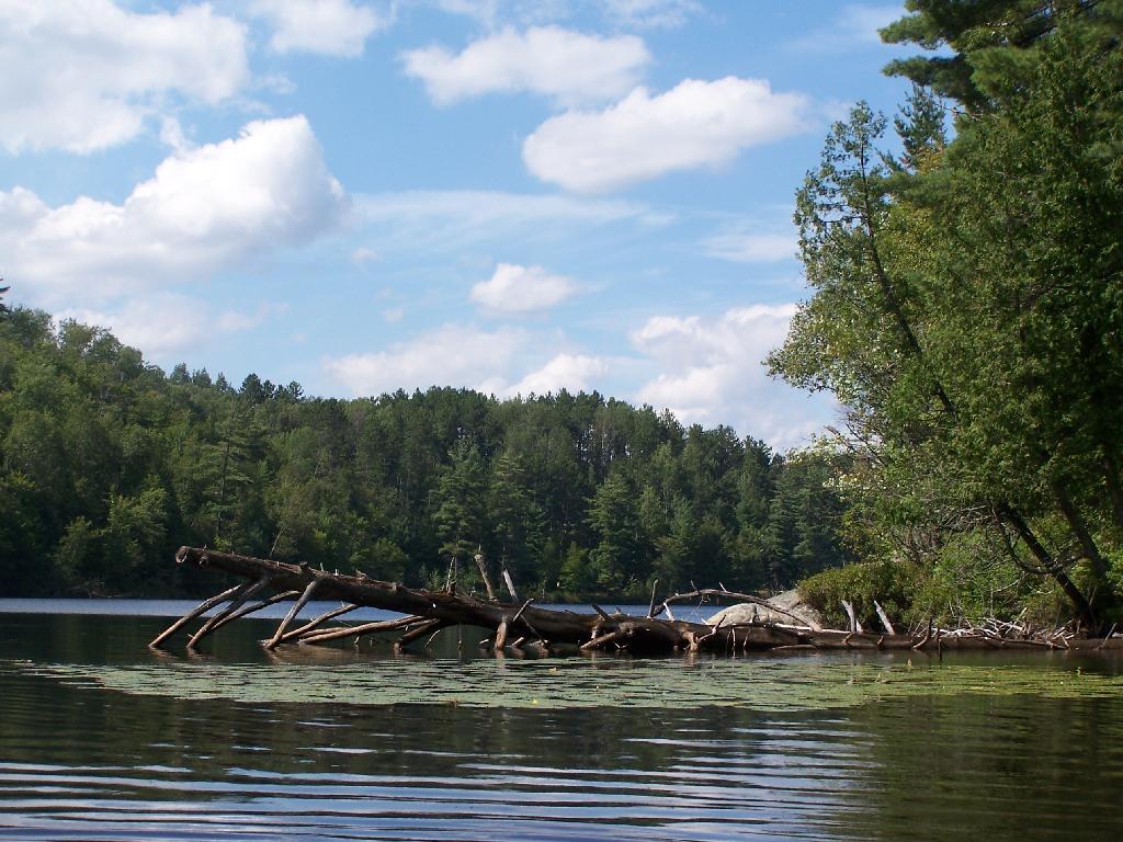 Photo: Central Part of Lake