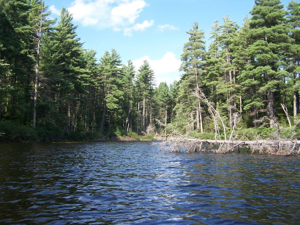 Photo: Northeastern Bay