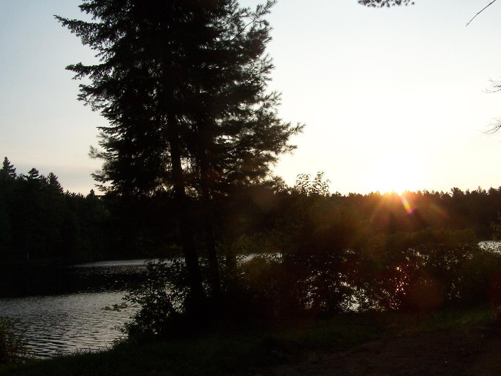Photo: First Rays of Sunshine