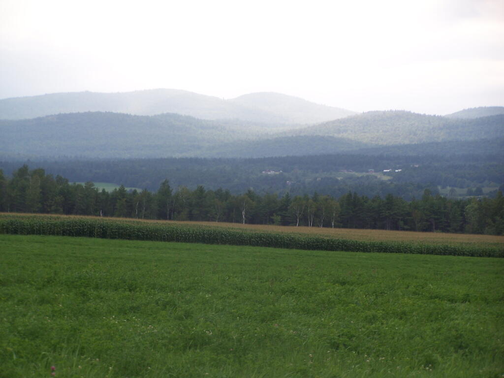 Photo: West from Union Road