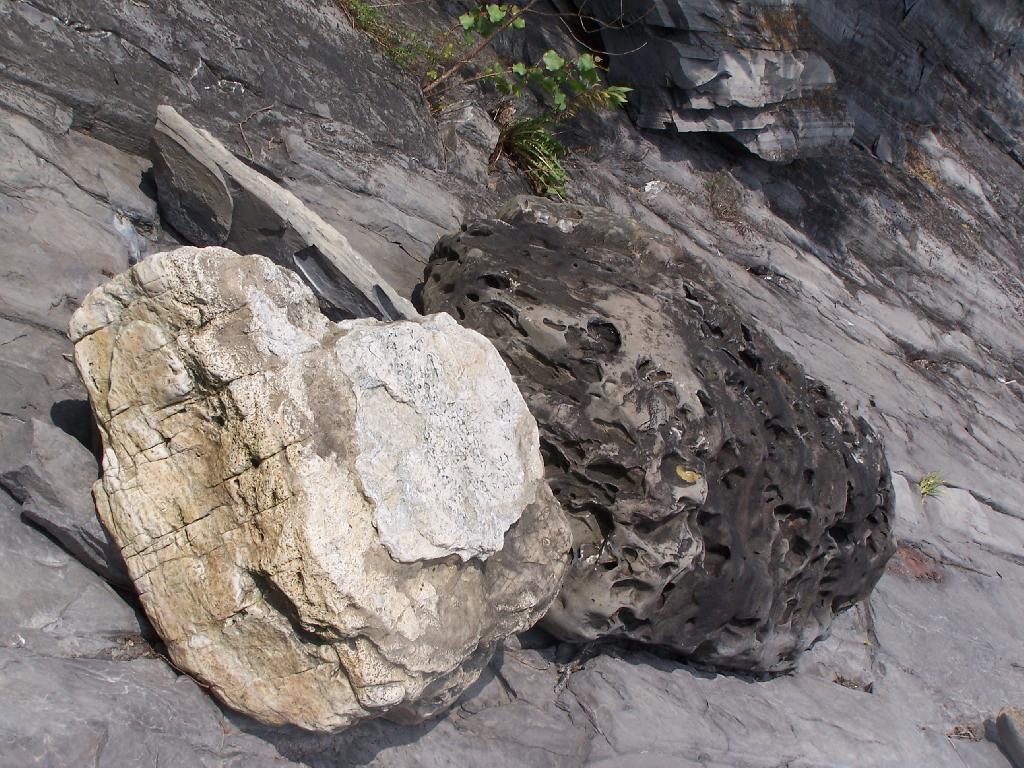 Photo: Rocks Along the Shore