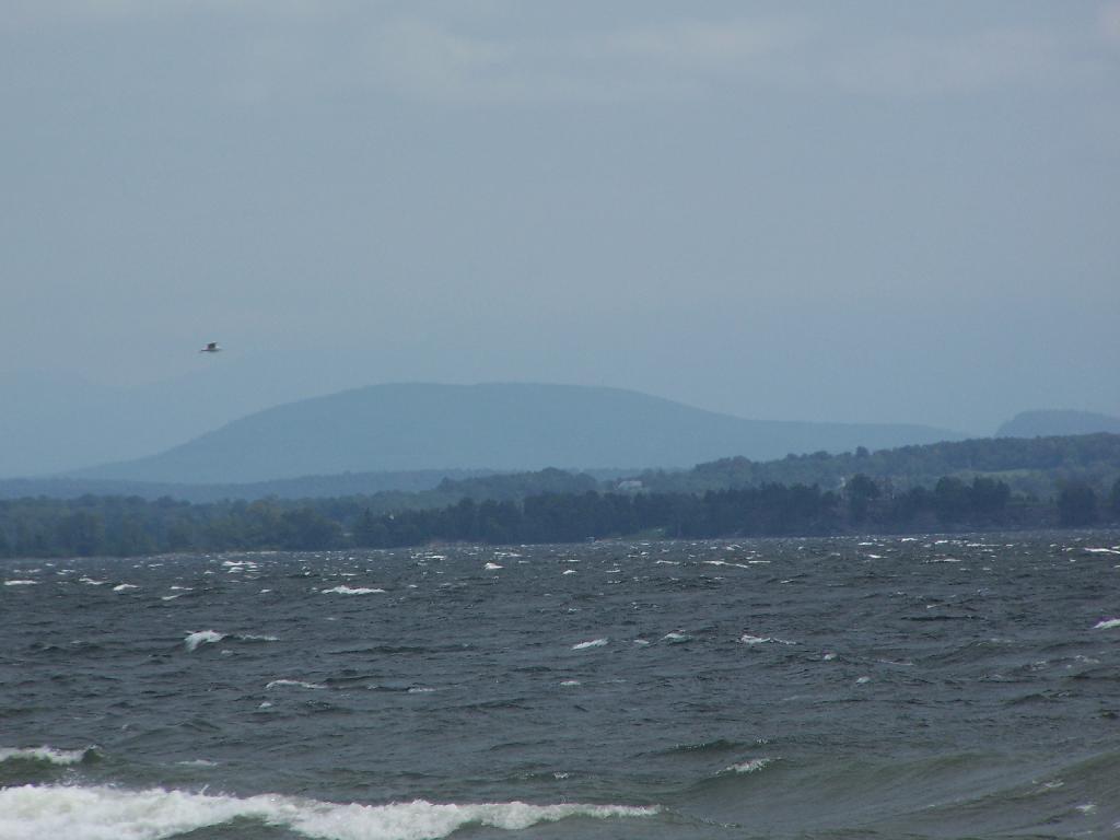 Photo: Aldis Hill