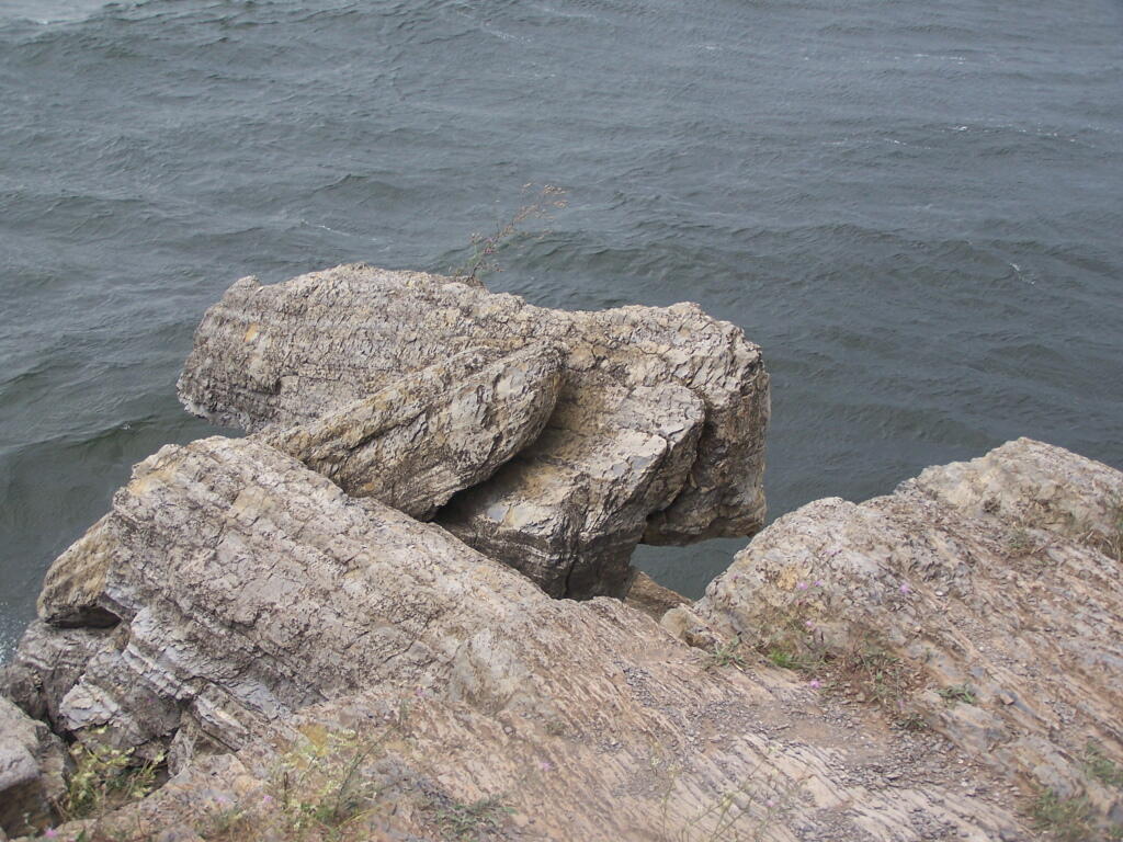 Photo: The End of Short Point