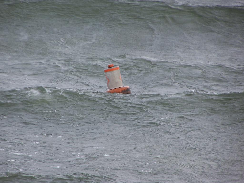 Photo: Rough Lake