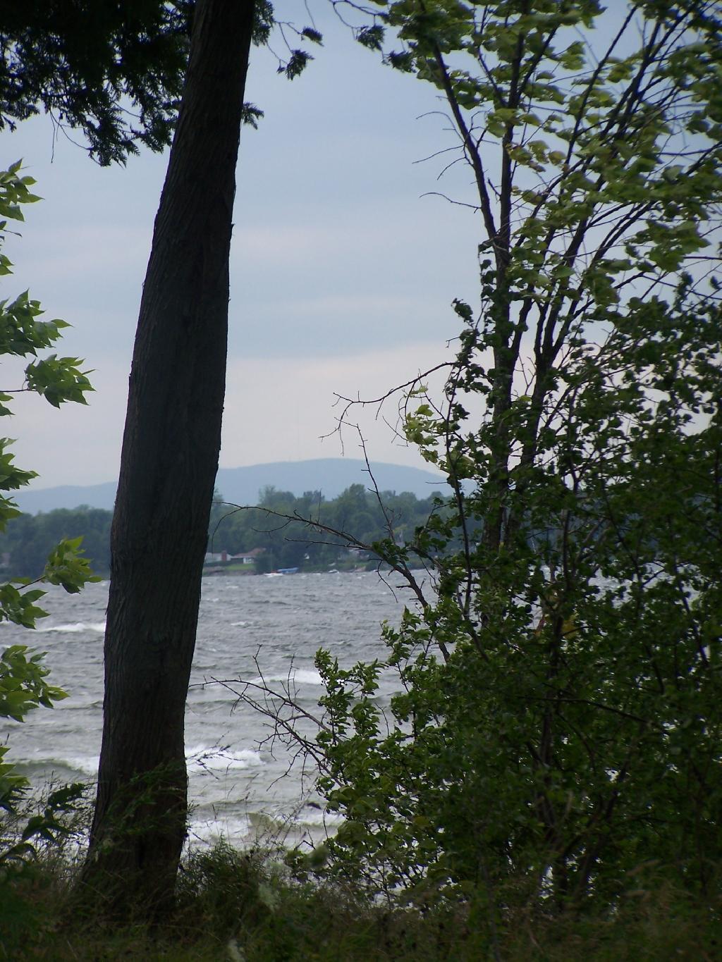 Photo: View Thru the Trees