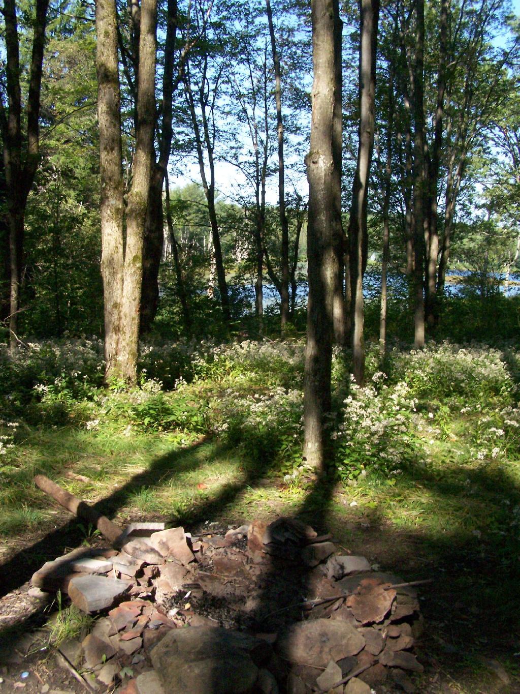 Photo: Close Up of Campsite