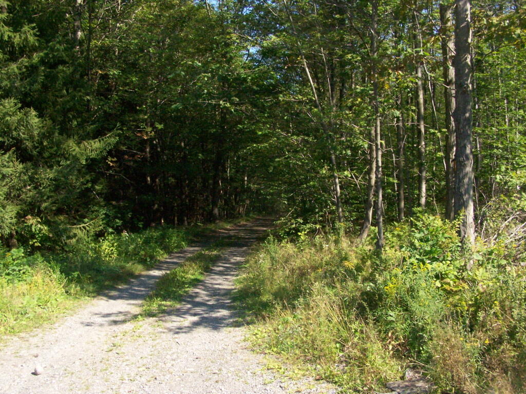 Photo: Rossman Pond Spur