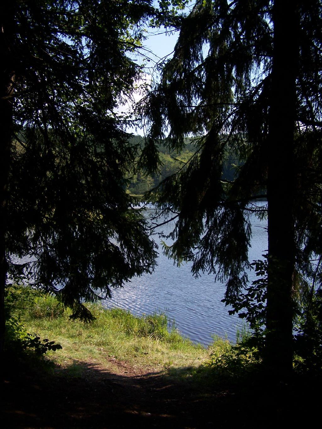 Photo: Pond from Campsite