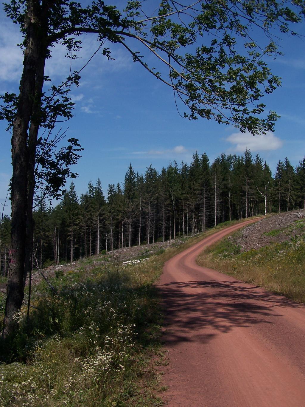 Photo: Red Dirt Road