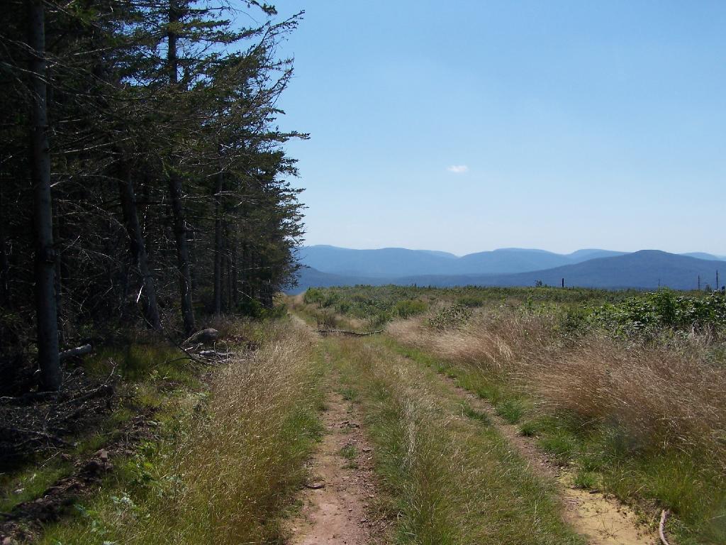 Photo: Walking a Haul Road to South