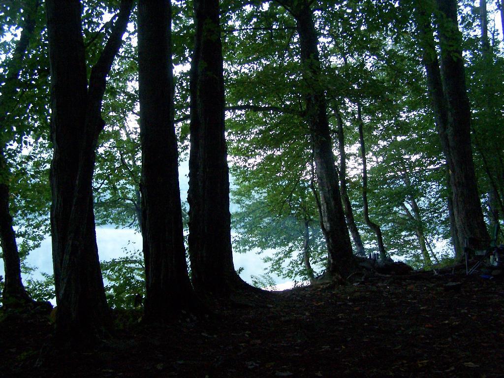 Photo: Waking Up at Big Pond