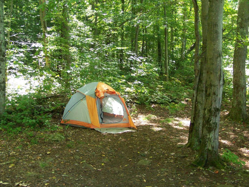 Photo: Tent