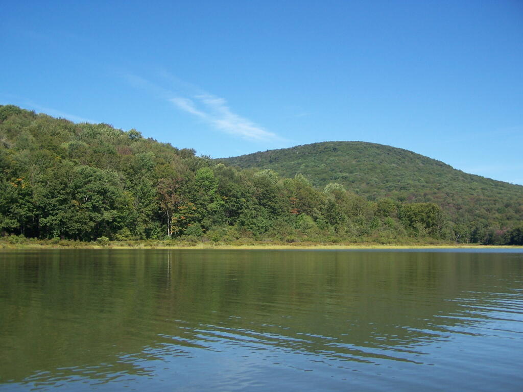 Photo: Alder Pond