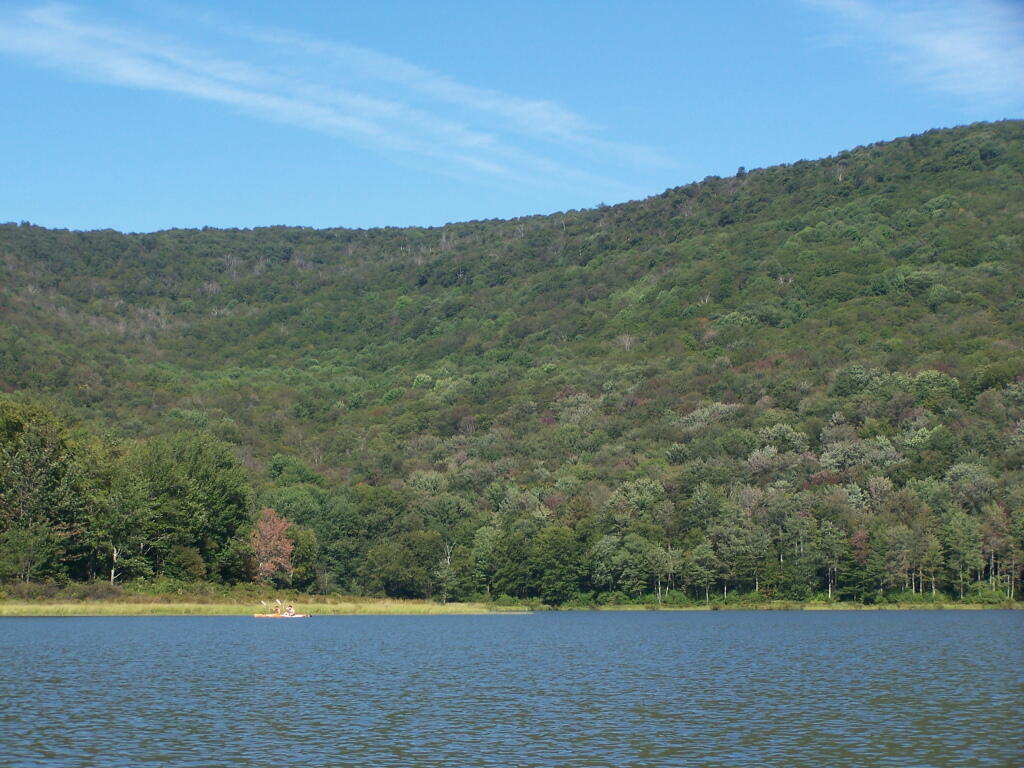 Photo: Canoers Fishing