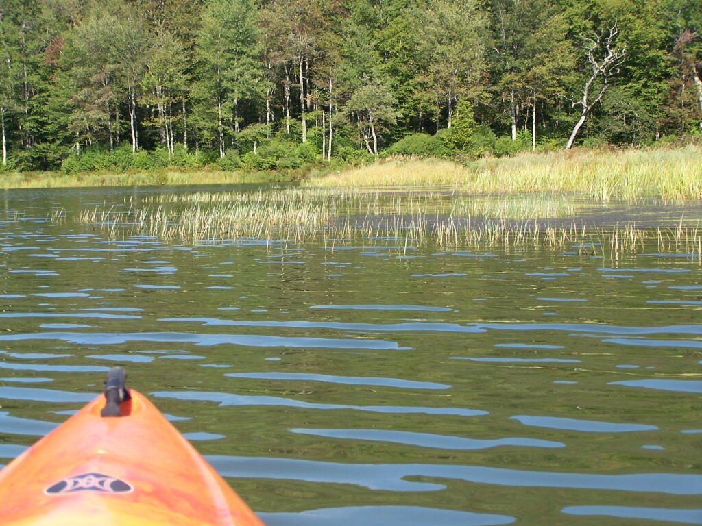Photo: Paddling Down to Far End of Alder Pond