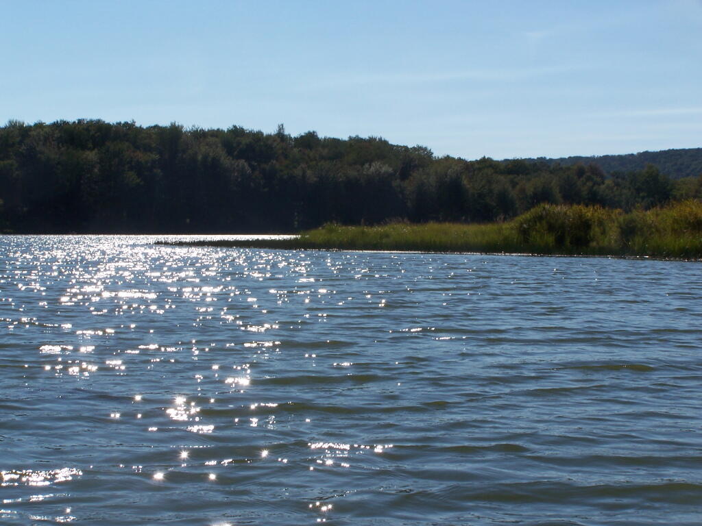 Photo: Alder Lake Sparkles