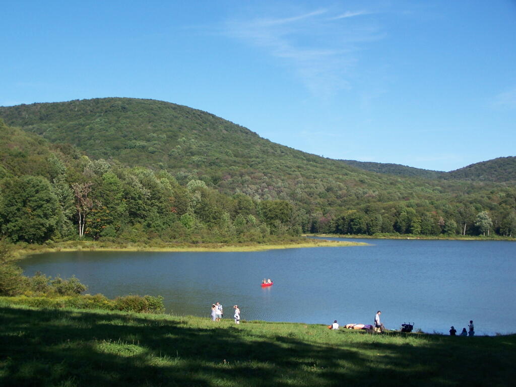 Photo: A Very Busy Alder Pond