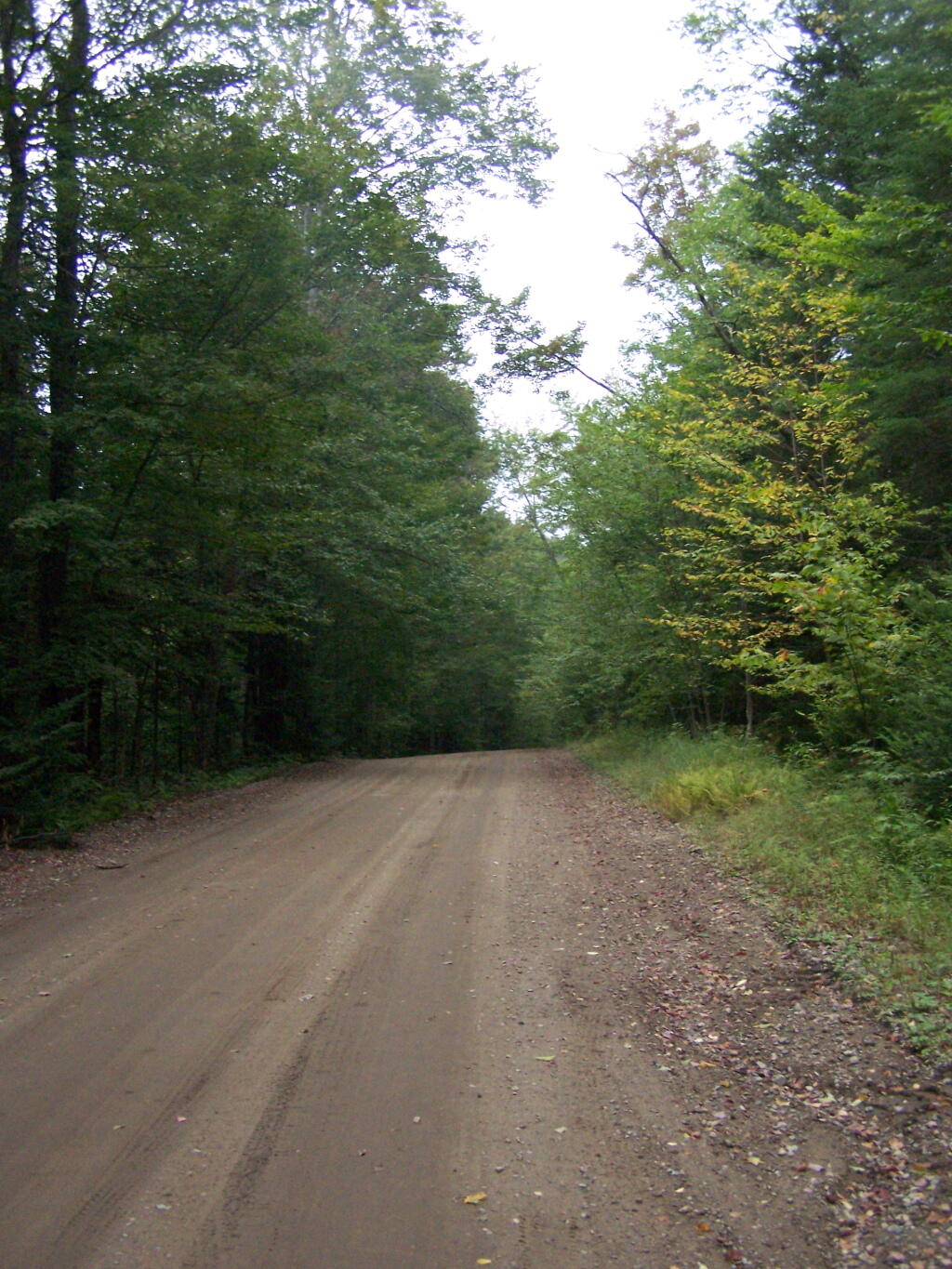 Photo: Along Piesco-Powley Road