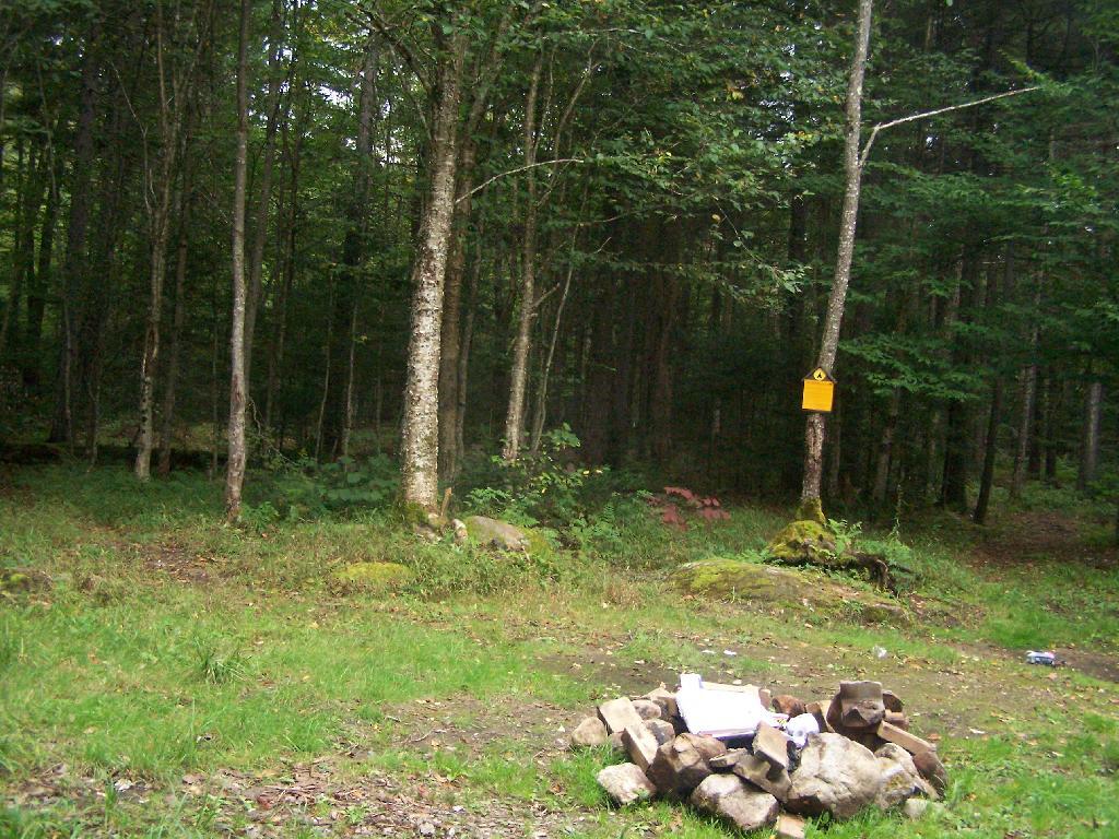 Photo: Another Designated Campsite