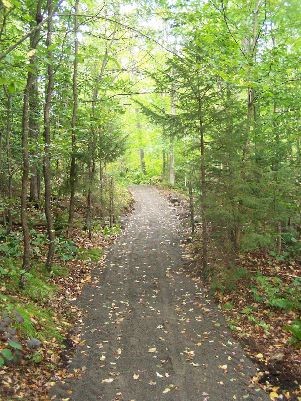 Photo: New Mitchells Pond Handicap Trail