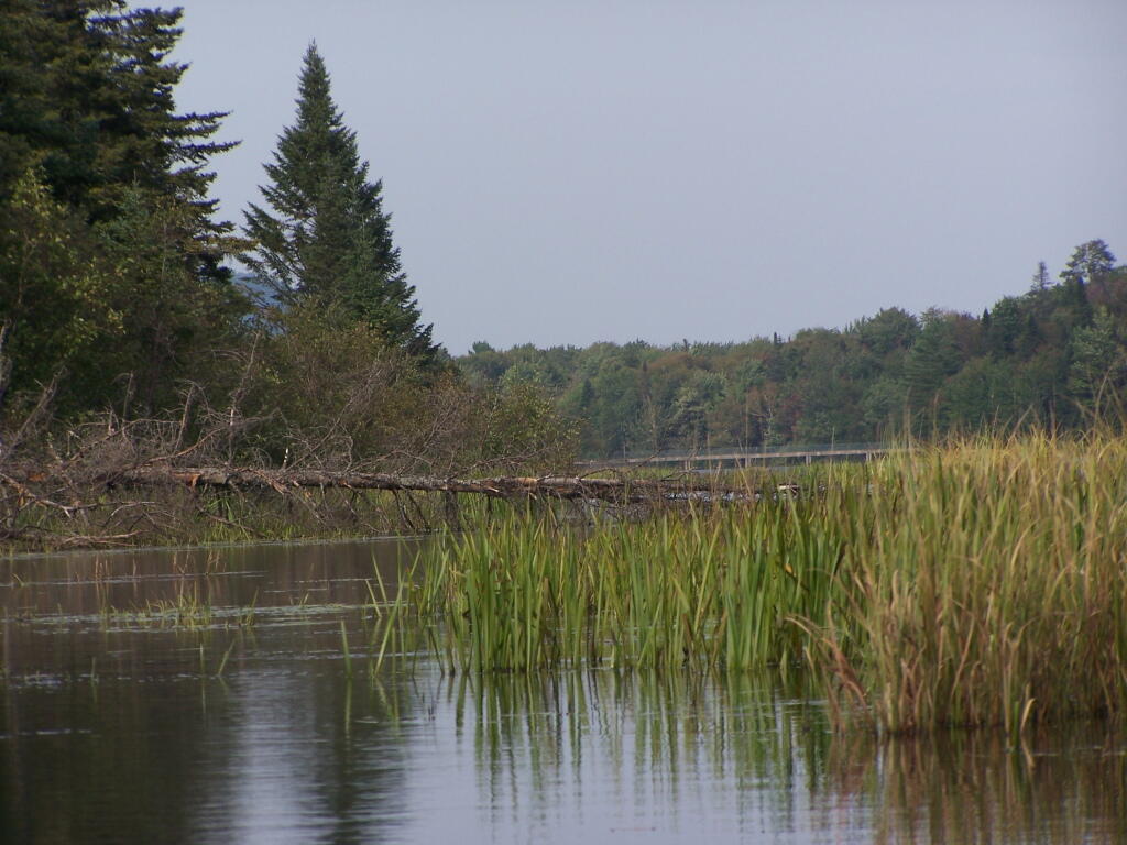 Photo: Paddling Around Payne Brook