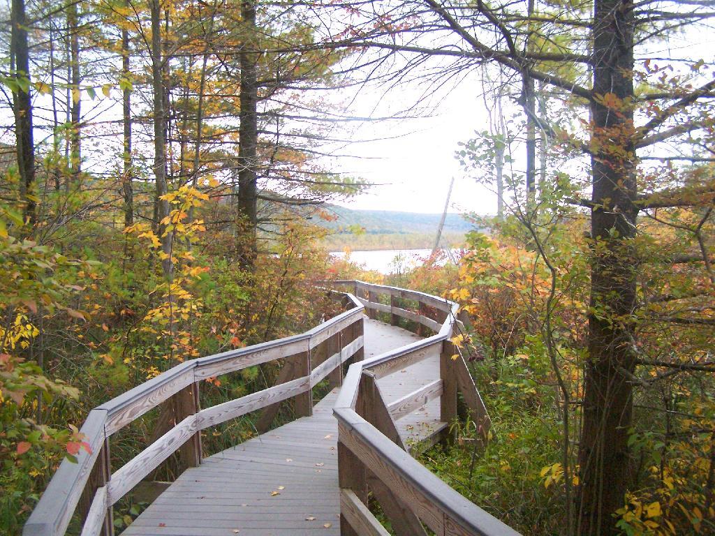Photo: Walkway