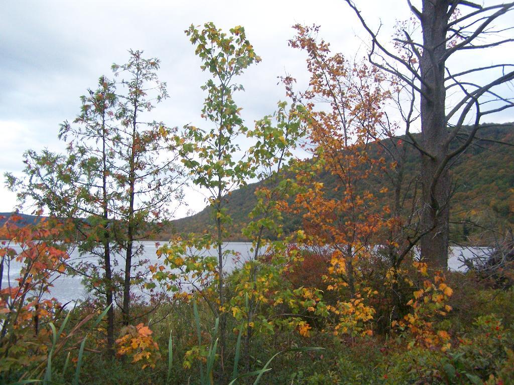 Photo: Fall Colors Along Pond