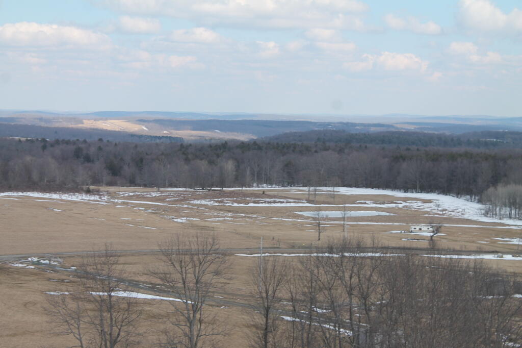 Photo: East from the Firetower