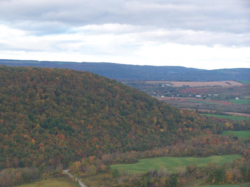 Photo: Labrador Hill