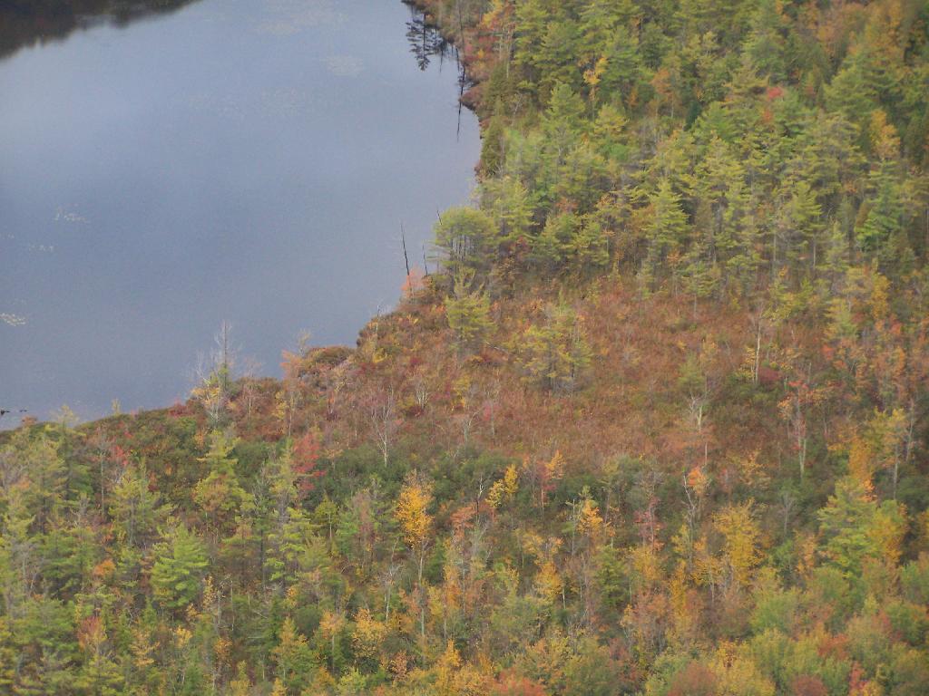 Photo: Edge of Labrador Pond
