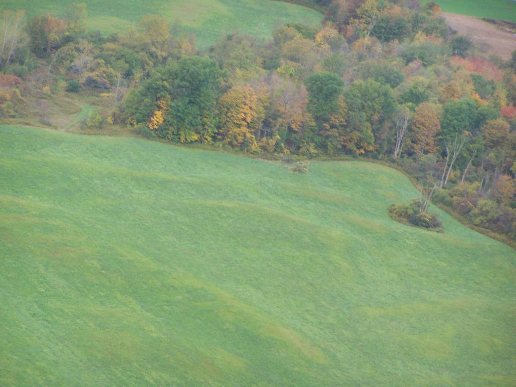 Photo: Farm Field in Hollow