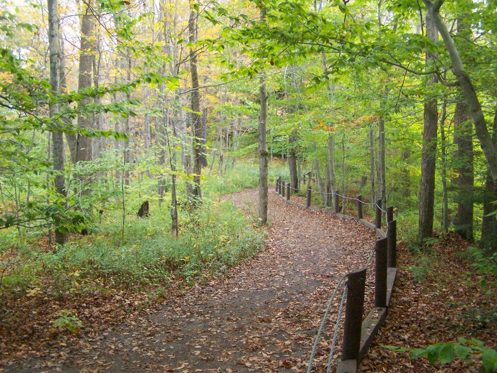 Photo: Salmon River Path