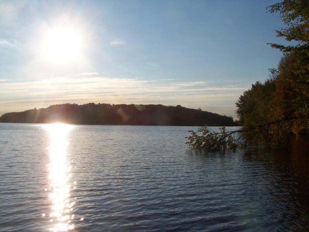 Photo: Salmon River Reflects