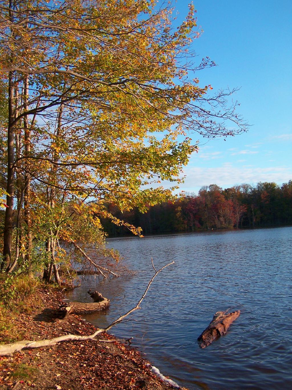 Photo: Along Salmon River Reservoir