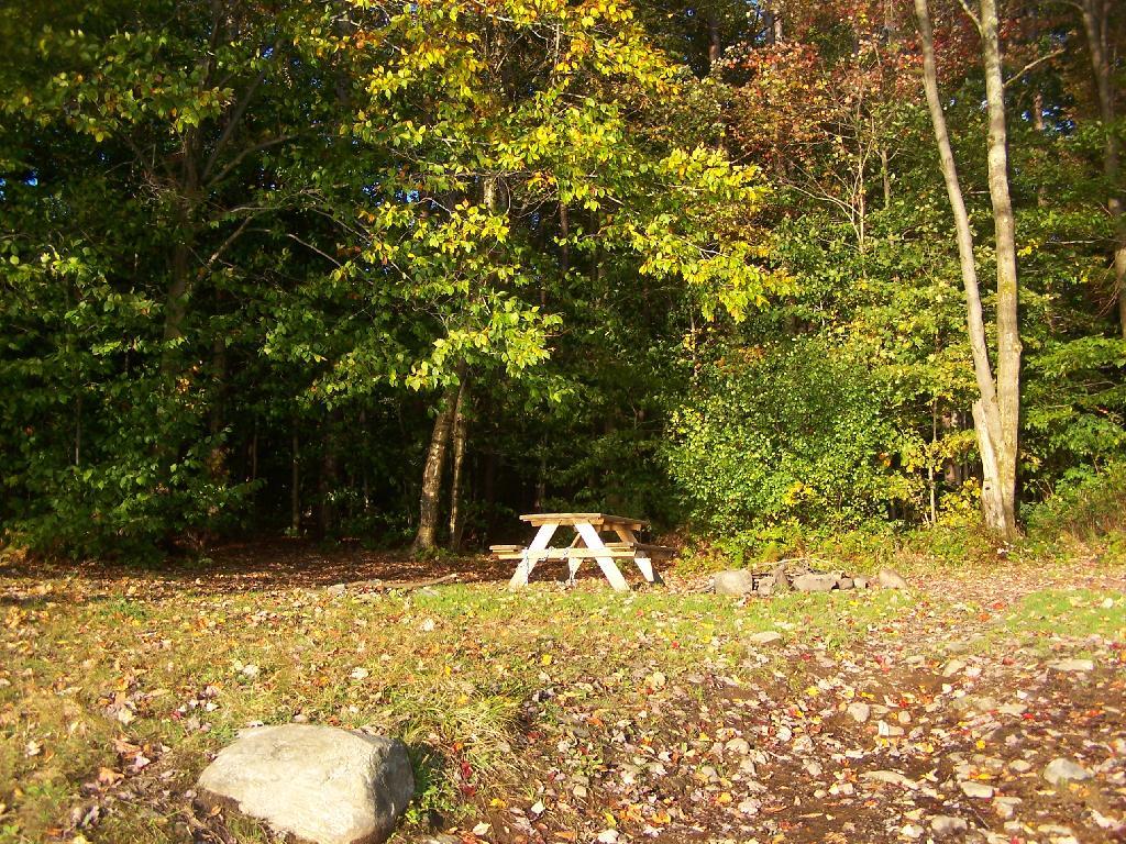 Photo: Picnic Table