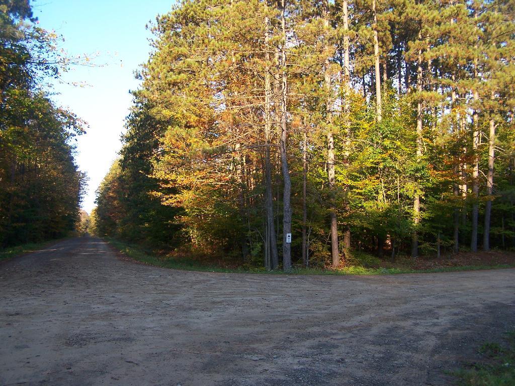 Photo: Private Timber Planation