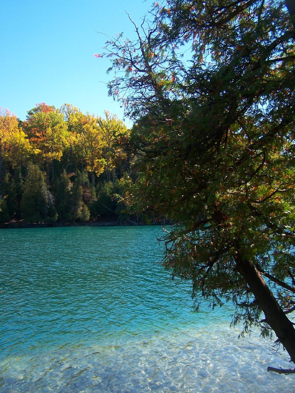 Photo: Shoreline