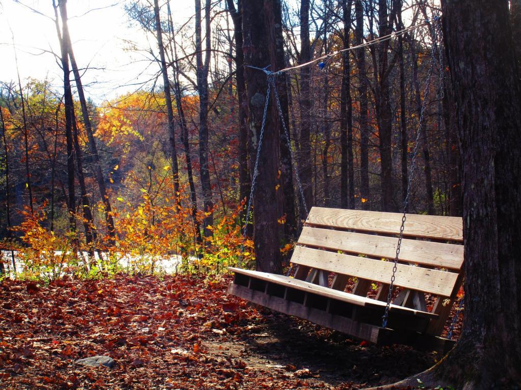 Photo: This Swing on the Kinderhook Creek is Wonderful