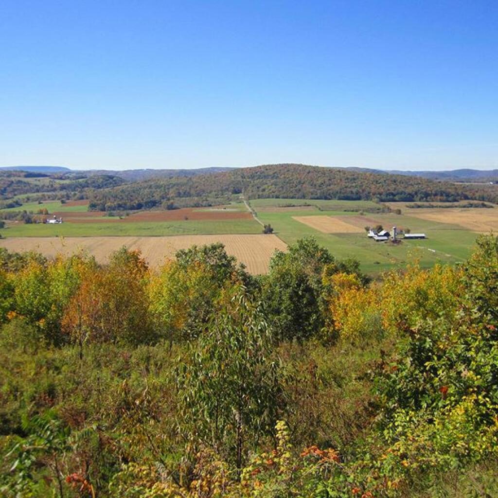 Photo: Only a few hints of Fall