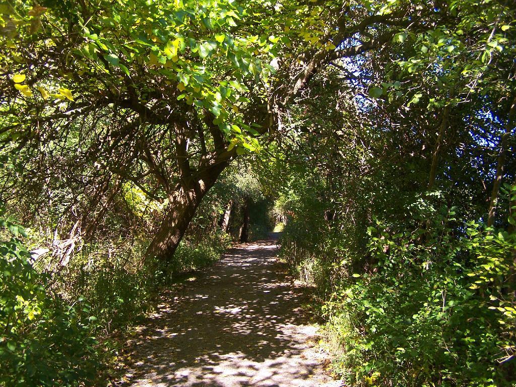 Photo: Trail