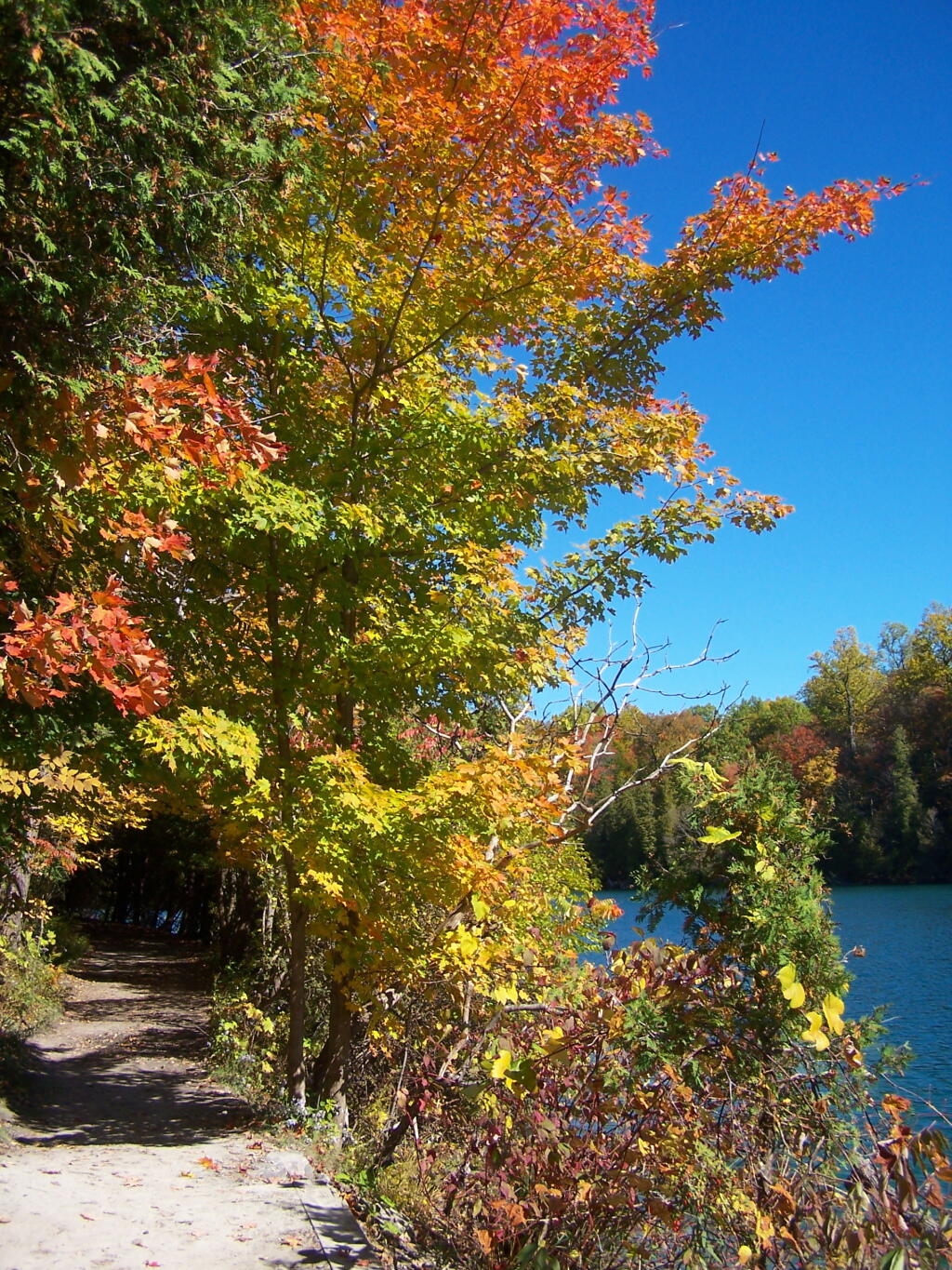 Photo: Path Along Lake