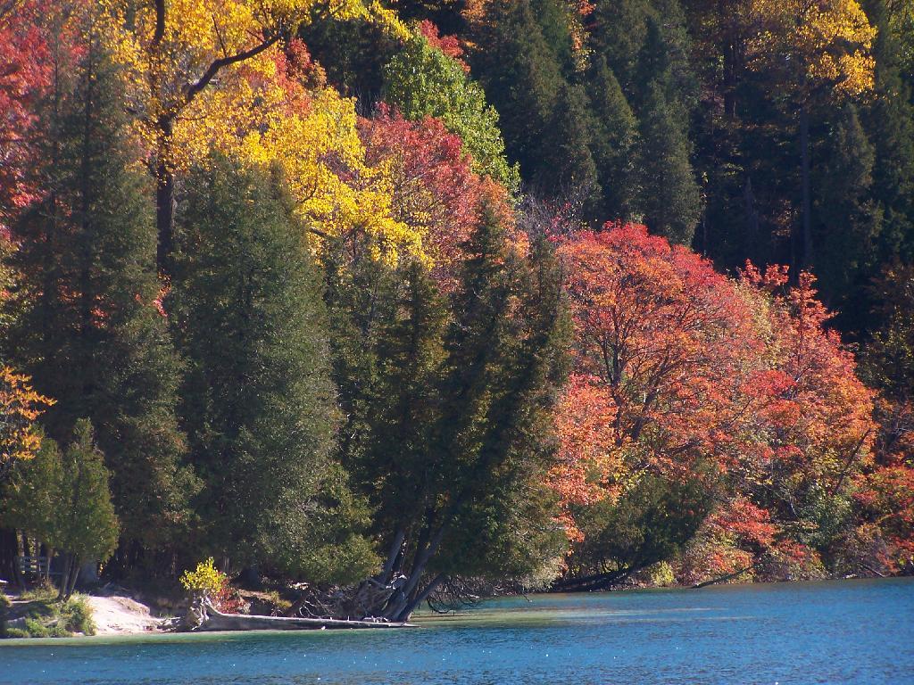 Photo: Looking Across Green Lake